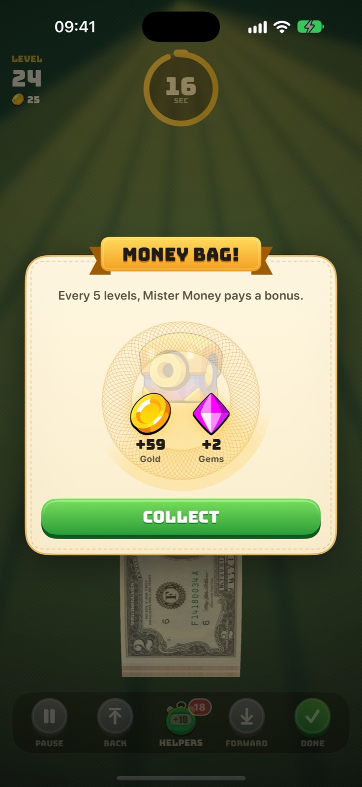 A money bag
